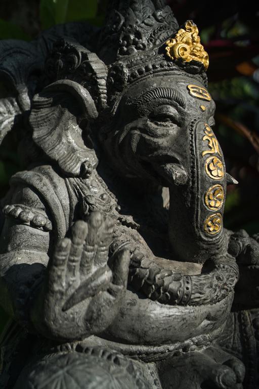 Villa Daksina Ubud Zimmer foto